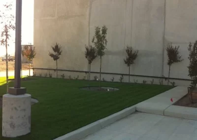 Synthetic Grass
