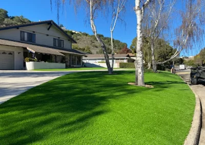 Synthetic Grass