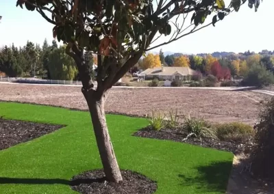 Synthetic Grass