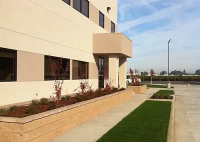 Synthetic Grass