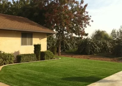Synthetic Grass