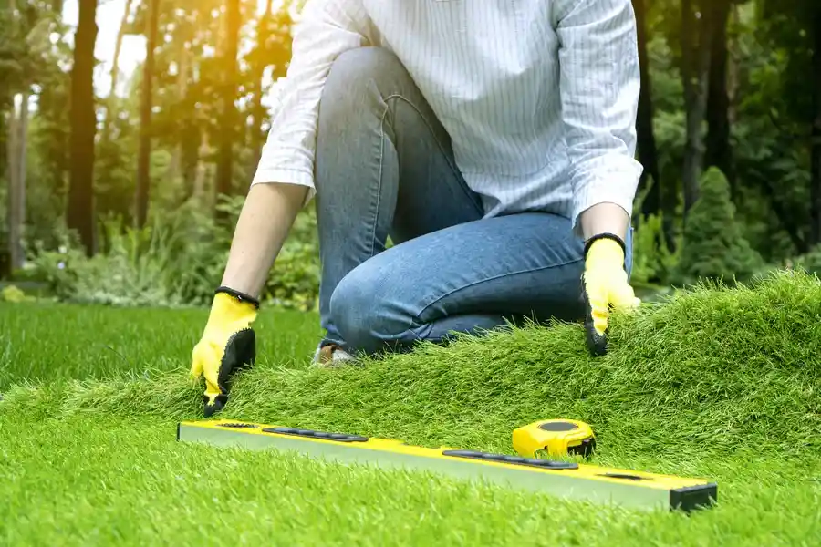 Experienced Artificial Turf Installation Pismo Beach, CA Experienced Artificial Turf Installation Pismo Beach, CA