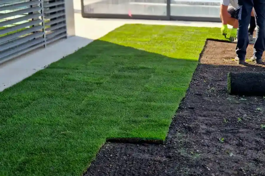 Reputable Artificial Turf Installation Pismo Beach, CA Reputable Artificial Turf Installation Pismo Beach, CA
